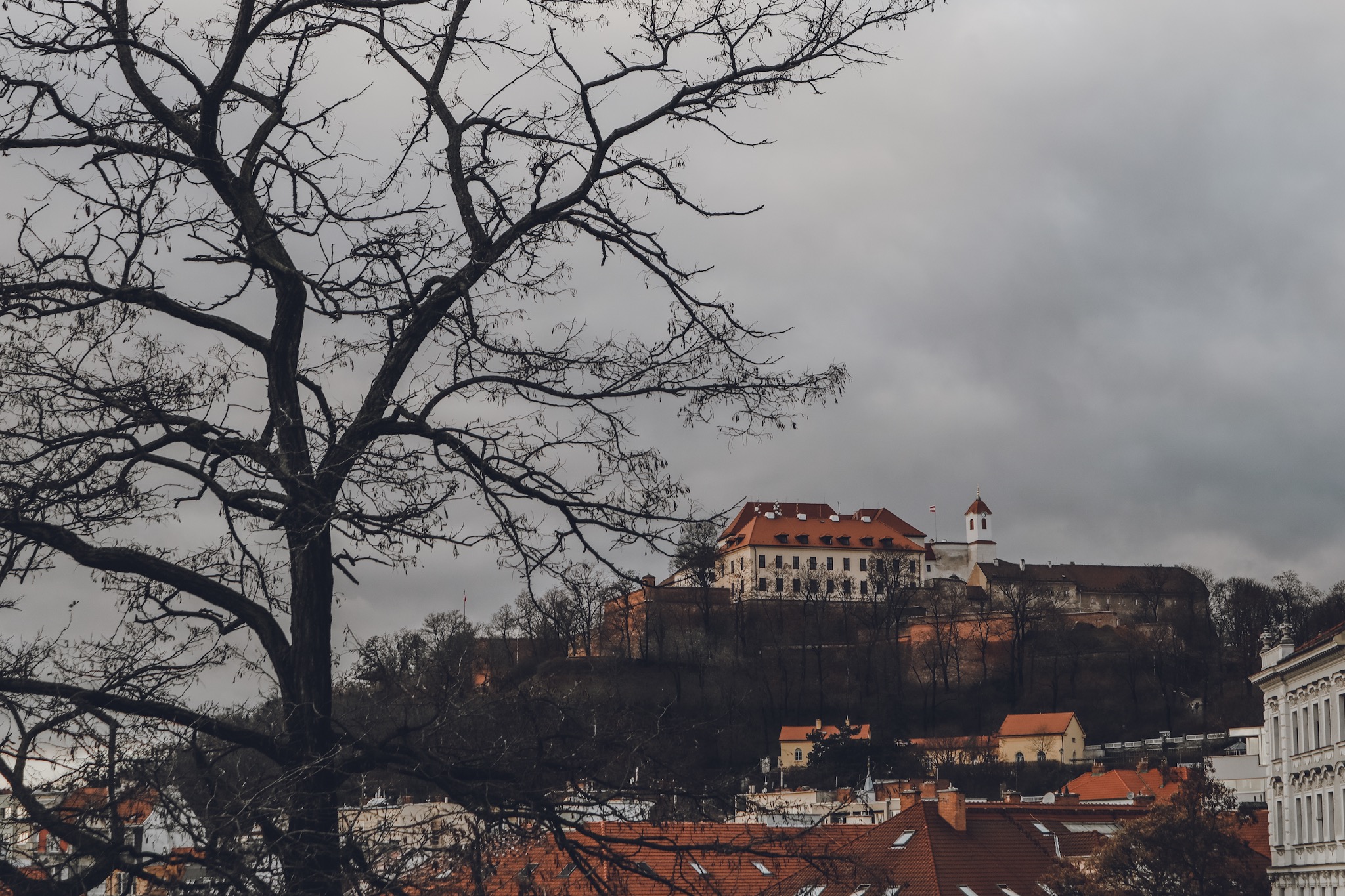 Brno cosa vedere cosa fare